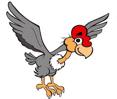 Condor andino para colorear - Imagui