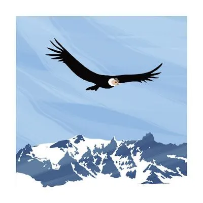 Para colorear condor - Imagui