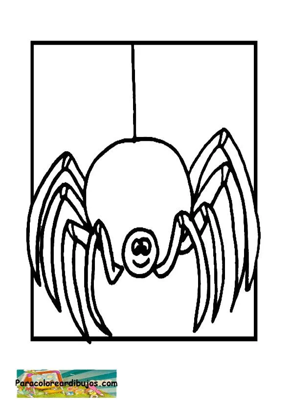 Para colorear dibujo de araña | Colorear dibujos Para colorear dibujo de araña | Colorear dibujos