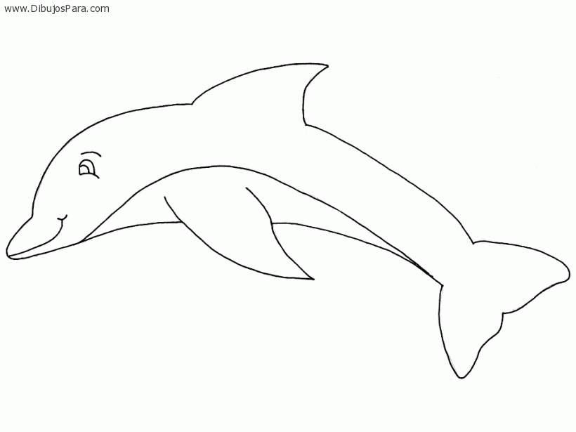 Dibujo de Delfin infantil para colorear | Dibujos de Delfines para ... Dibujo de Delfin infantil para colorear | Dibujos de Delfines para ...