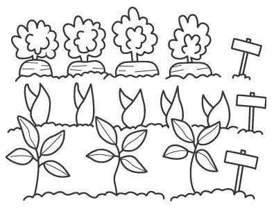 COLOREAR DIBUJOS DE HUERTAS | Dibujos para colorear COLOREAR DIBUJOS DE HUERTAS | Dibujos para colorear