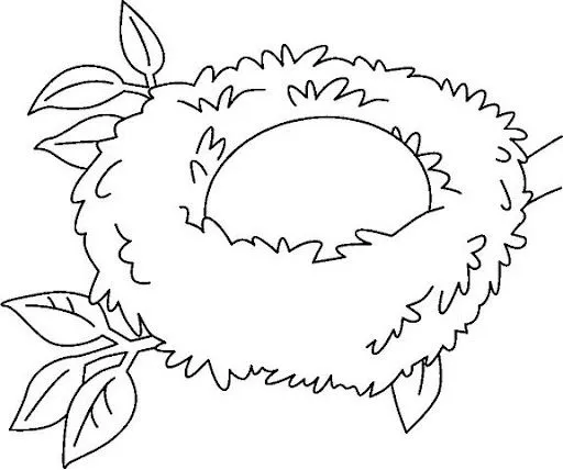 COLOREAR DIBUJOS DE NIDOS | Dibujos para colorear COLOREAR DIBUJOS DE NIDOS | Dibujos para colorear