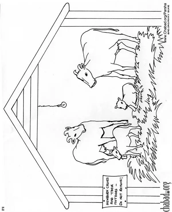 Animales de la a a la z para colorear - Imagui Animales de la a a la z para colorear - Imagui