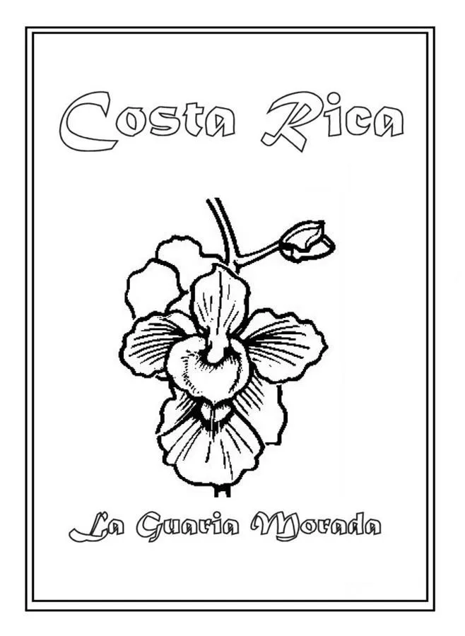 Colorear la Flor Nacional de Costa Rica: La Guaria Morada ... Colorear la Flor Nacional de Costa Rica: La Guaria Morada ...