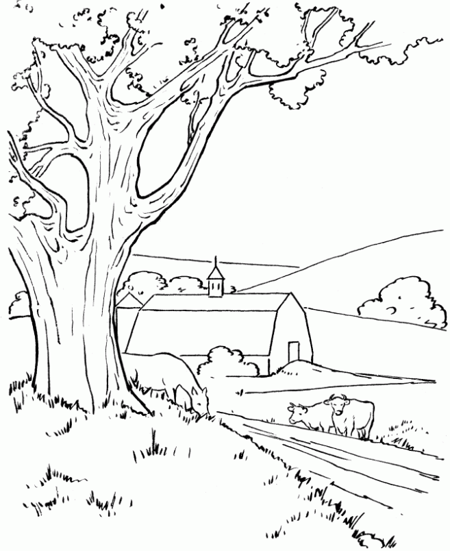colorear-granja-dibujos- ...