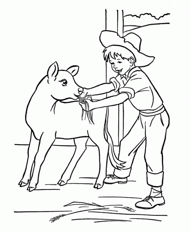 colorear-granjero-dibujos- ...
