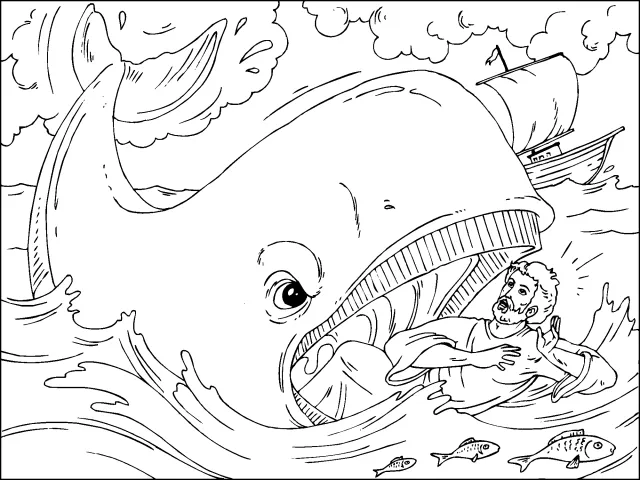 Ballenas para colorear on line - Imagui