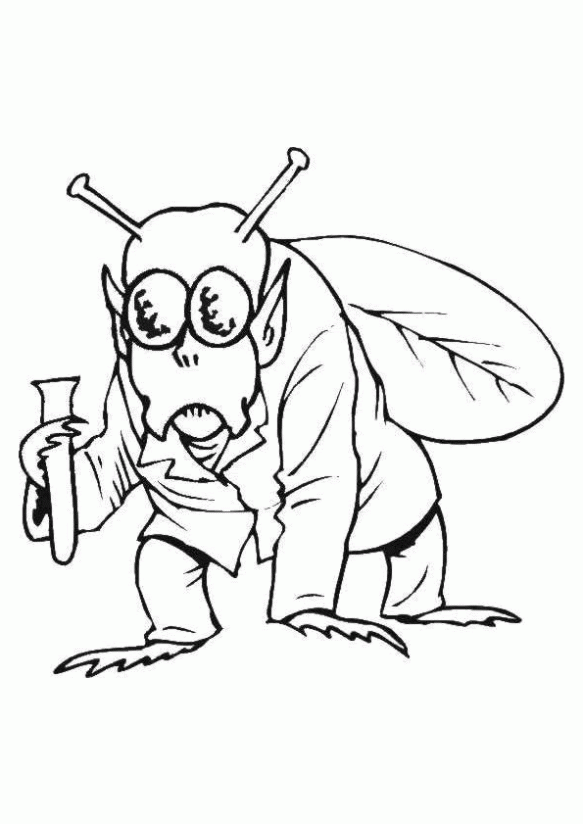 Dibujo de La Mosca para colorear. Dibujos infantiles de La Mosca ...