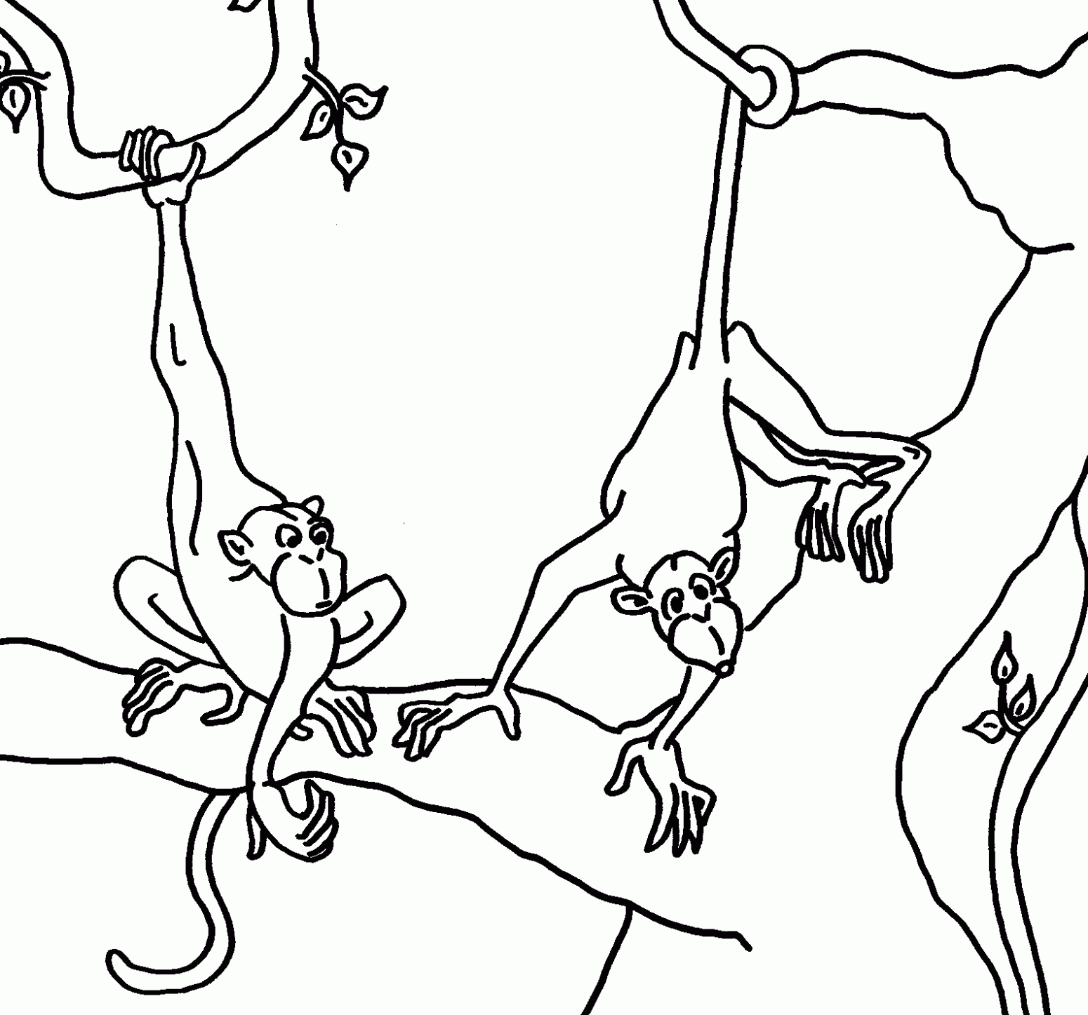 el mono arana Colouring Pages