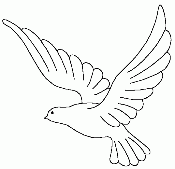 PALOMAS PARA PINTAR