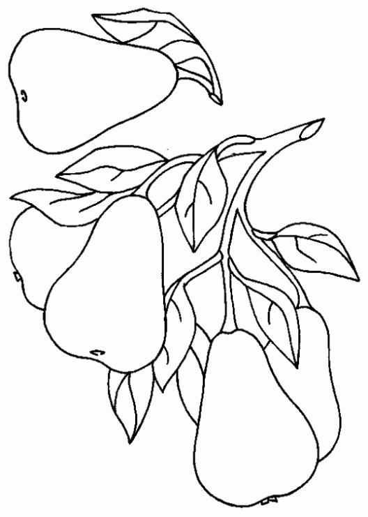 Free coloring pages