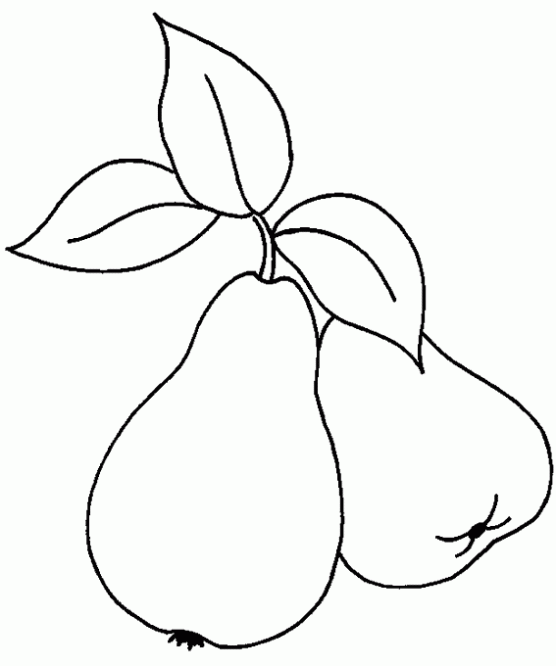 Dibujo de Peras para colorear. Dibujos infantiles de Peras ... Dibujo de Peras para colorear. Dibujos infantiles de Peras ...