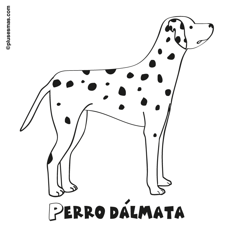 Colorear un perro dálmata. Colorear con niños. Abuelos Nietos ... Colorear un perro dálmata. Colorear con niños. Abuelos Nietos ...