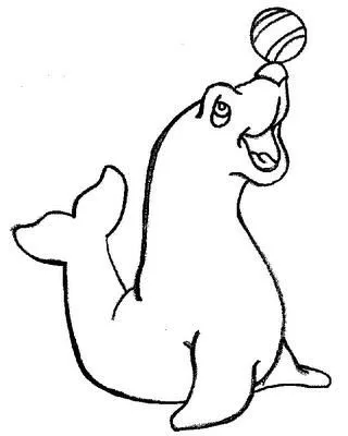 DIBUJOS DE FOCAS JUGANDO PARA COLOREAR PINTAR DIBUJOS DE FOCAS JUGANDO PARA COLOREAR PINTAR