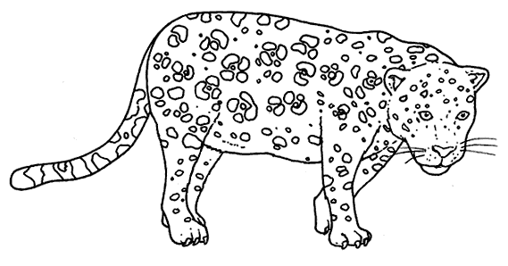 ... fácil del Leopardo para colorear pintar para niños escolares
