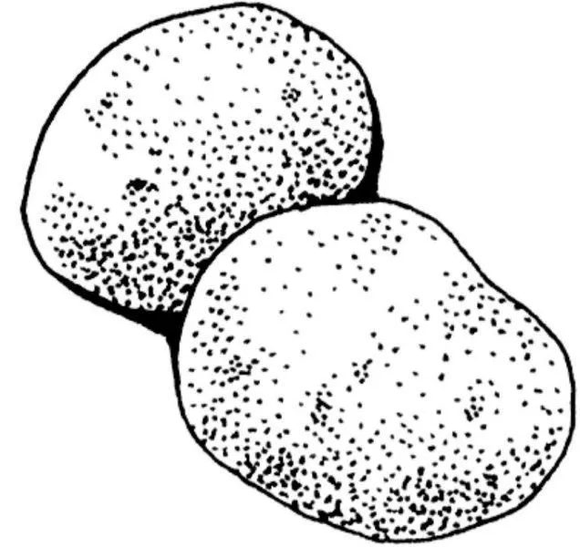  ... PARA COLOREAR PINTAR: DIBUJOS DE LA PAPA O PATATA PARA COLOREAR PINTAR