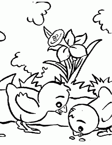 Los pollitos para colorear - Imagui