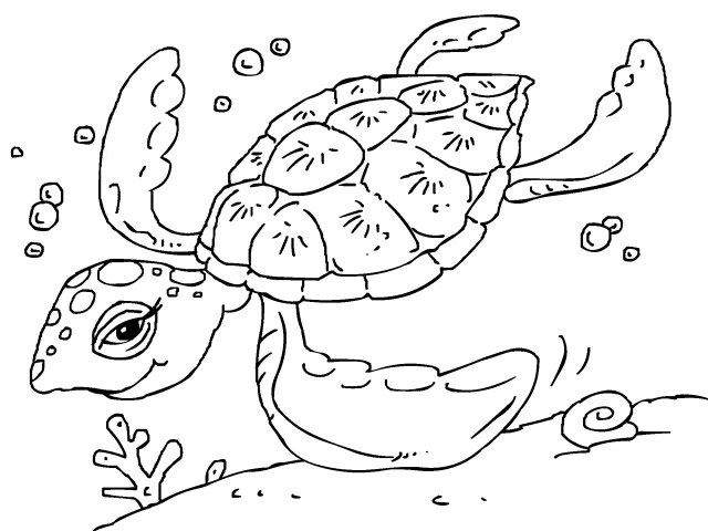 Tortuga marina para colorear - Imagui