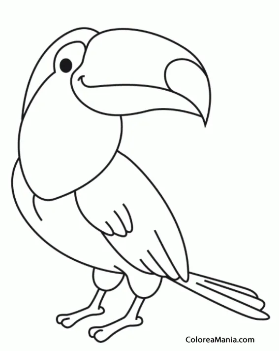 Colorear Tucán, de cómic (Aves), dibujo para colorear gratis | Dibujos de tucanes, Páginas para colorear de animales, Dibujos para colorear gratis Colorear Tucán, de cómic (Aves), dibujo para colorear gratis | Dibujos de tucanes, Páginas para colorear de animales, Dibujos para colorear gratis