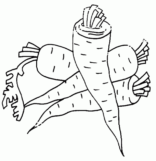 colorear-zanahorias-5-dibujos- ...