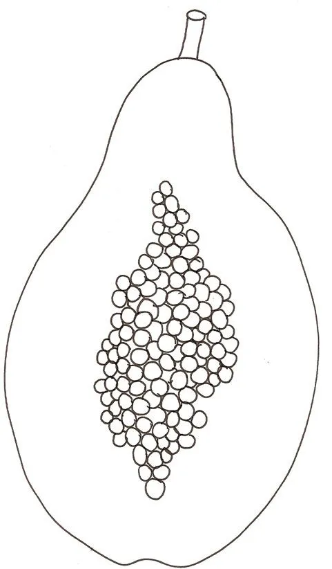 Coloriage Fruit Coloriage D Un Citron | New Car Specs Coloriage Fruit Coloriage D Un Citron | New Car Specs