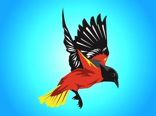 Coloridas aves volar paquete de vectores | Descargar Vectores gratis
