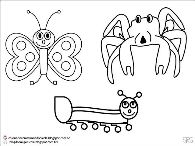COLORINDO COM A TURMA DO NICOLA: COLORIR - ANIMAIS INVERTEBRADOS COLORINDO COM A TURMA DO NICOLA: COLORIR - ANIMAIS INVERTEBRADOS