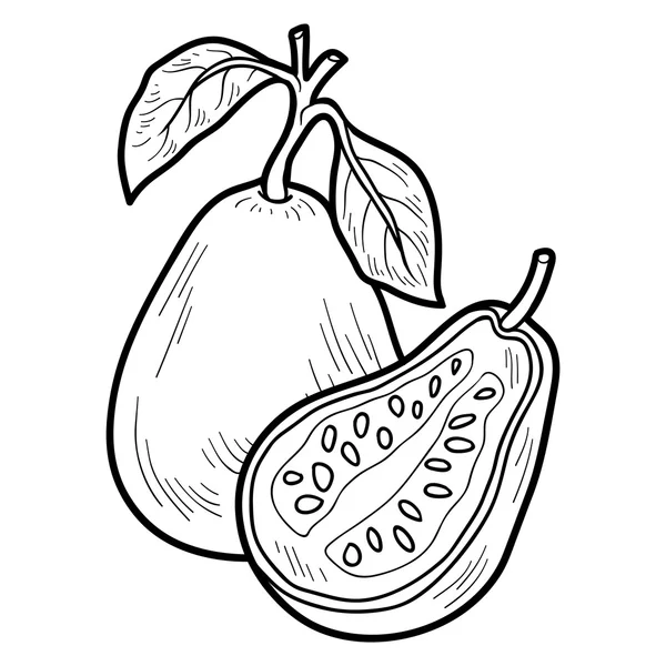 Coloring book: fruits and vegetables (guava) — Vector stock ...