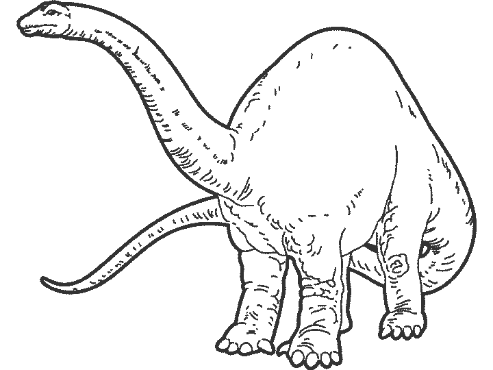 coloring: Dinosaur coloring pages