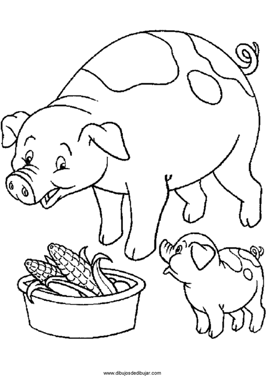 coloring-pigs-063 | Dibujos de dibujarDibujos de dibujar coloring-pigs-063 | Dibujos de dibujarDibujos de dibujar