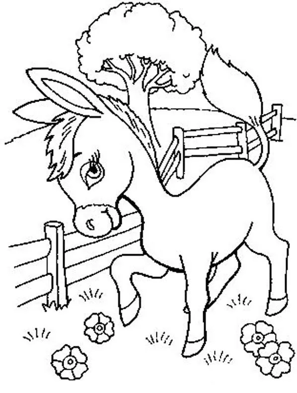 Colorir e Colorir: Burro para Colorir - Desenhos de Animais ... Colorir e Colorir: Burro para Colorir - Desenhos de Animais ...