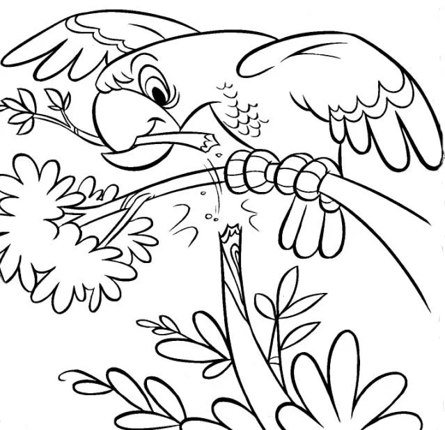 Colorir e Pintar: Desenhos para colorir e imprimir Colorir e Pintar: Desenhos para colorir e imprimir