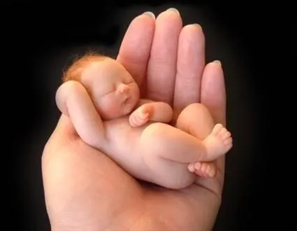 La columna del hermano José: EN CHINA SE INCLUYEN BEBES ABORTADOS ...