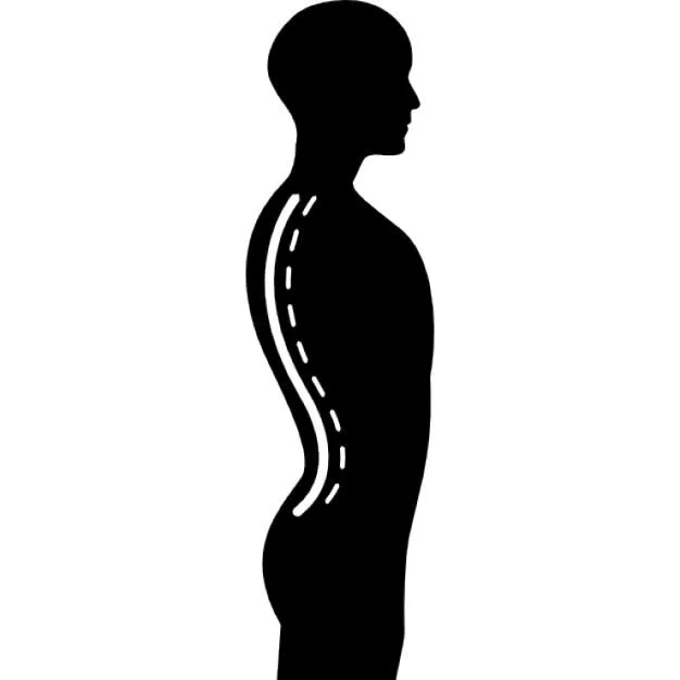 Columna dentro de una silueta masculina del cuerpo humano en vista ...