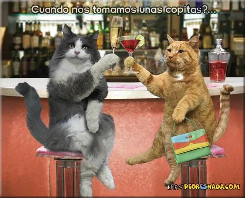 Peor es Nada . com (Blog) - Animaciones Flash, Juegos, Serenatas ... Peor es Nada . com (Blog) - Animaciones Flash, Juegos, Serenatas ...