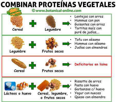 combinar-proteina-vegetal.jpg