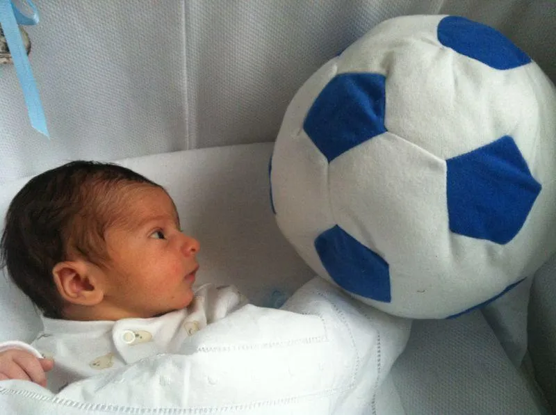 No sólo comen y duermen - El blog de los niños y de Mallorca