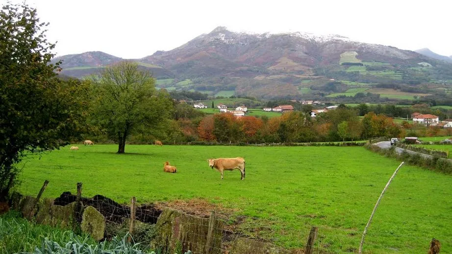 Comentario de paisajes naturales - el niño de los pasillos