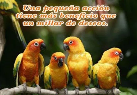 Comentarios Web | Tus Comentarios en Postales para Tu Red Social ...