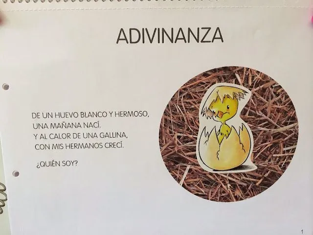 COMENZAMOS PROYECTO: “EL POLLITO” | Clases de 5 años del Ceip ... COMENZAMOS PROYECTO: “EL POLLITO” | Clases de 5 años del Ceip ...