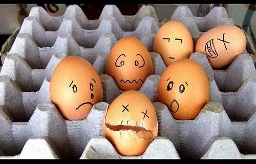 La peor manera de comer huevos | semillakosmica