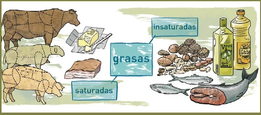Sabes lo Que ComeS ?