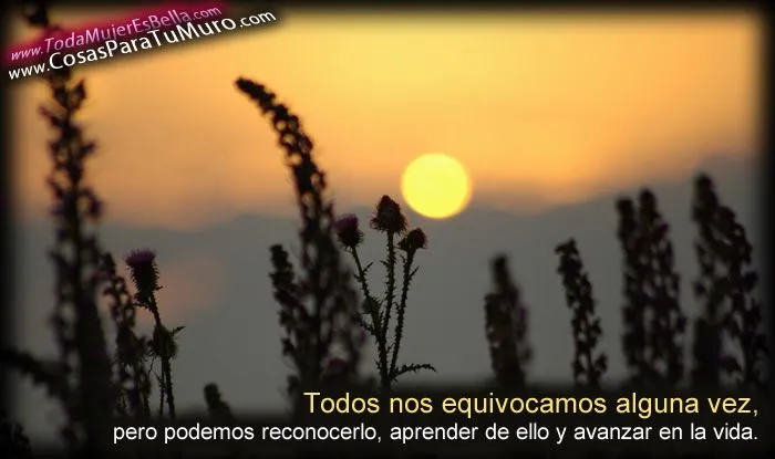 Todos cometemos errores...