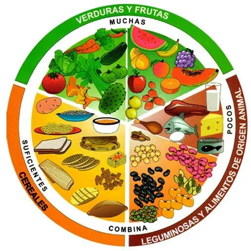 Comida | Nutriendo... mente y cuerpo