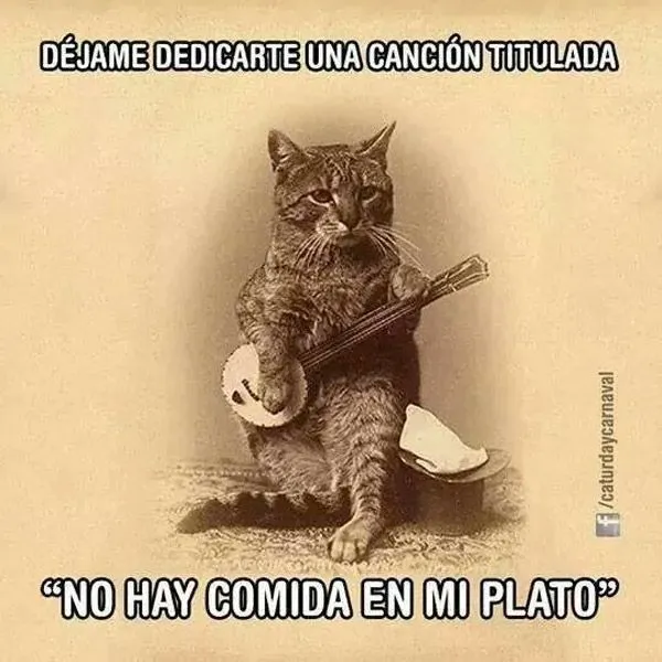 No hay comida en mi plato. #humor #risa #graciosas #chistosas ... No hay comida en mi plato. #humor #risa #graciosas #chistosas ...