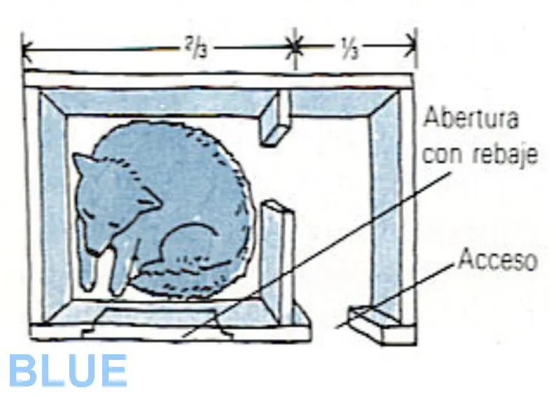 Cómo...?: Cómo hacer una casa para perro?