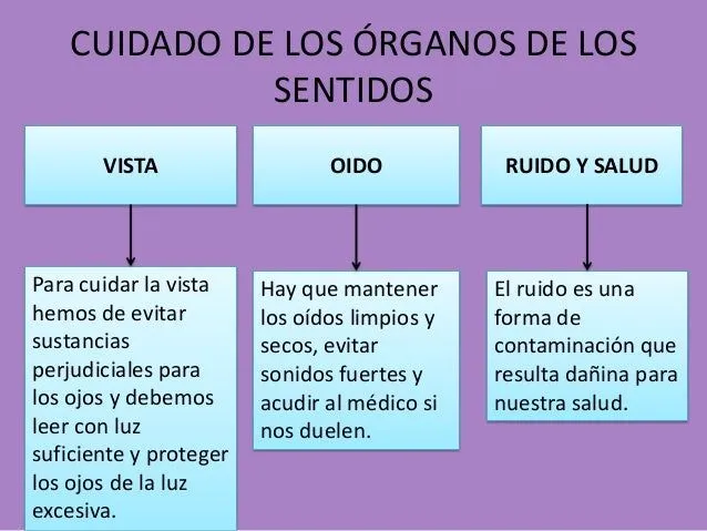 como-cuidar-nuestros-sentidos- ...