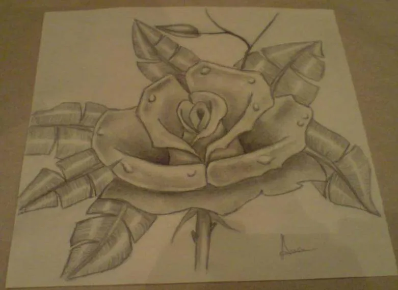 como dibujar a lapiz una rosa (4) - Dibujos a lapiz como dibujar a lapiz una rosa (4) - Dibujos a lapiz