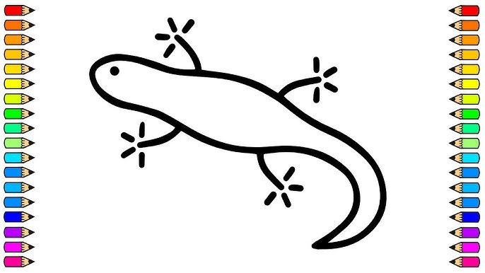 Cómo dibujar una LAGARTIJA / Dibujamos LAGARTIJA paso a paso / Dibujos para  niños