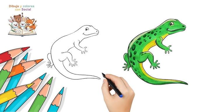 Cómo dibujar un Lagarto y colorear | Dibujo de animales paso a paso para  niños